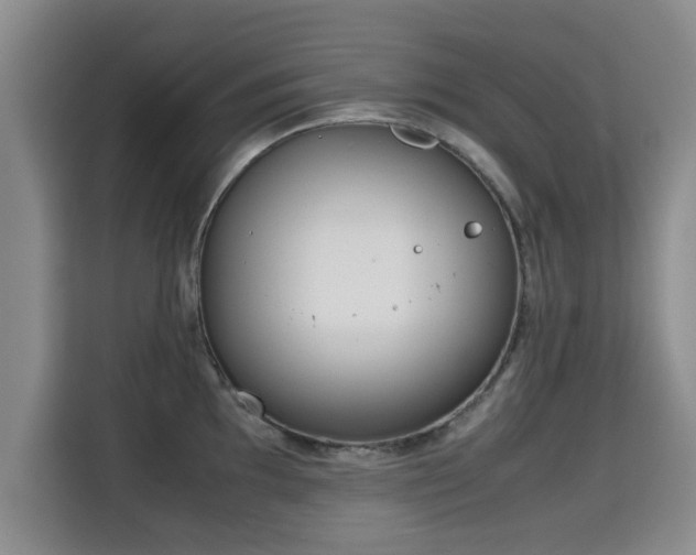 X0000115701097200911191224