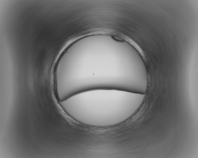 X0000115701099200911191224