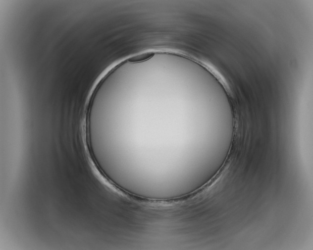 X0000115701100200911191224