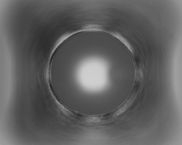 X0000115701101200911191224