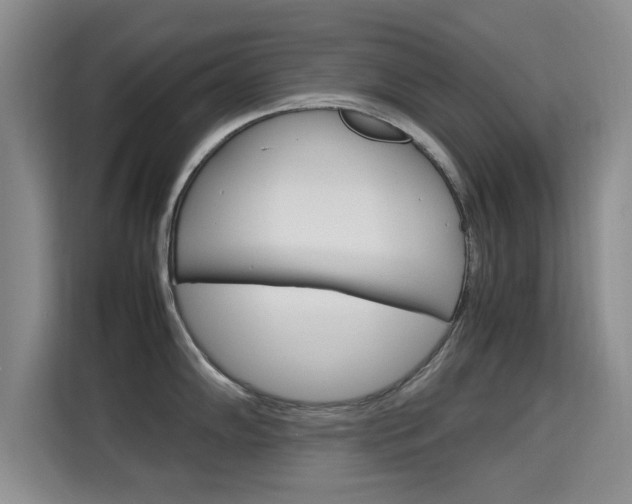 X0000115701102200911191224