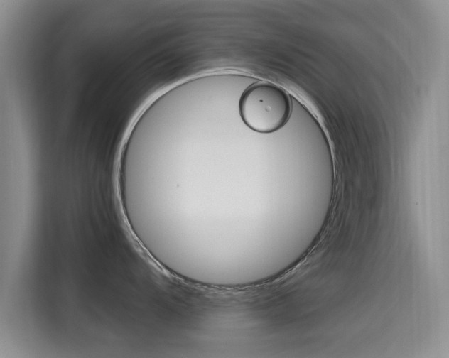 X0000115701104200911191224