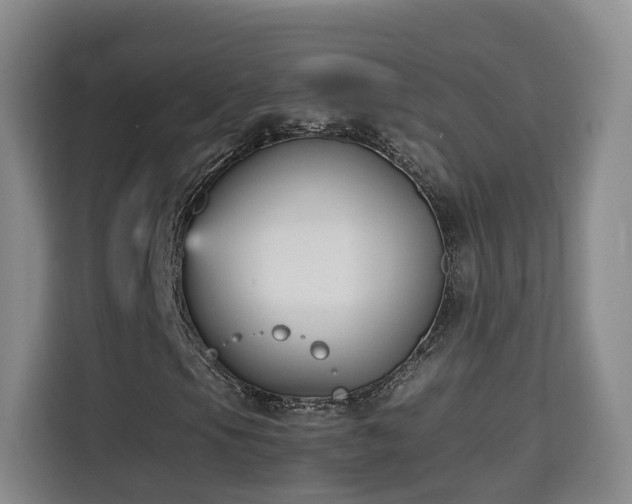 X0000115701105200911191224