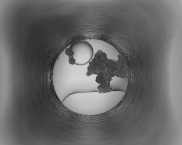 X0000115701106200911191224