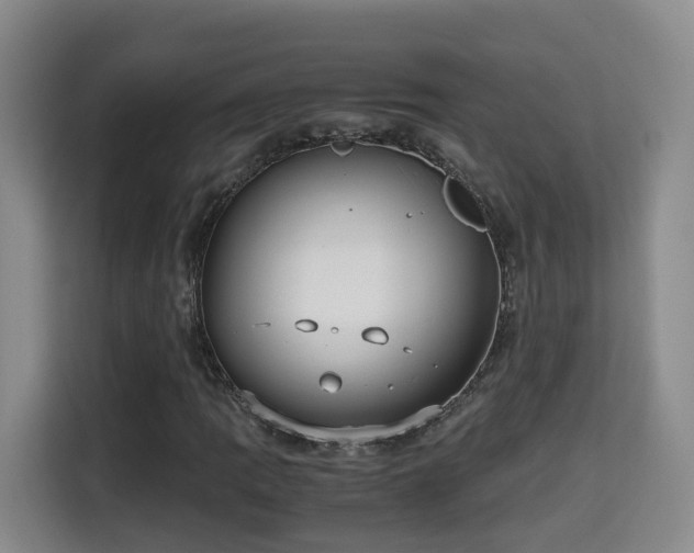 X0000115701109200911191224