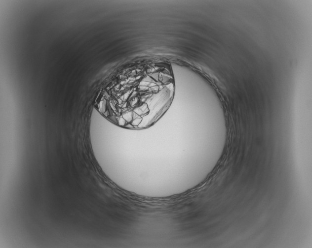 X0000115701110200911191224