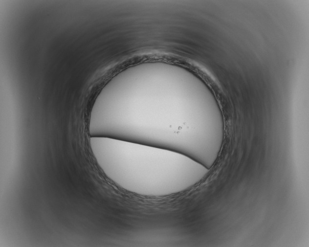 X0000115701111200911191224