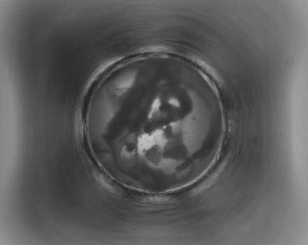 X0000115701117200911191224