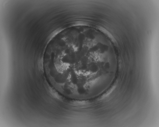 X0000115701121200911191224