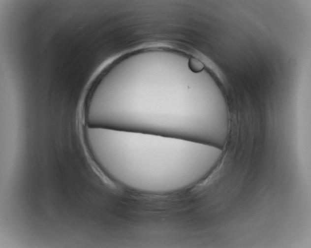 X0000115701127200911191224