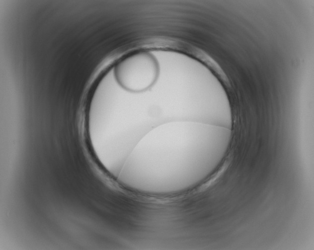 X0000115701130200911191224