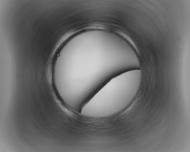 X0000115701131200911191224