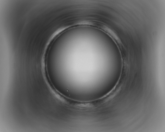 X0000115701133200911191224