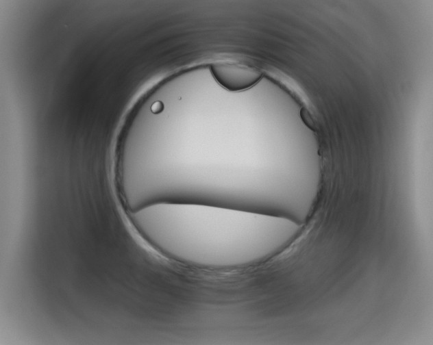 X0000115701135200911191224