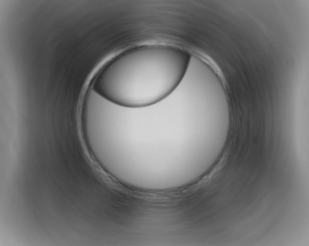 X0000115701138200911191224