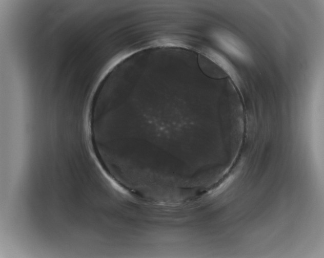 X0000115701141200911191224