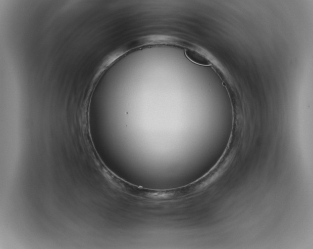 X0000115701145200911191224