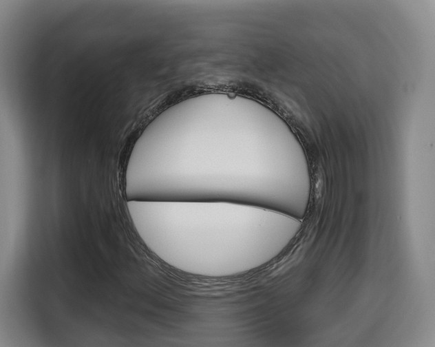 X0000115701156200911191224