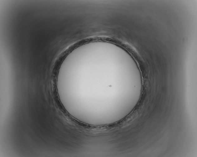 X0000115701159200911191224