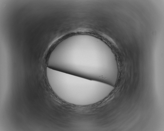 X0000115701160200911191224