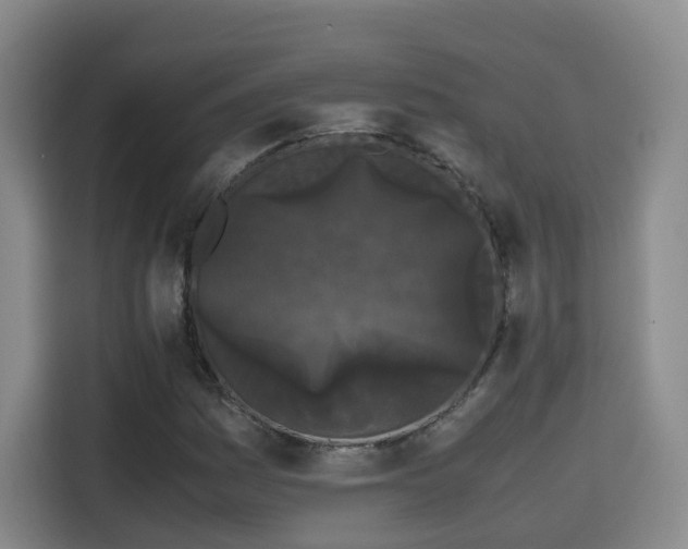 X0000115701161200911191224