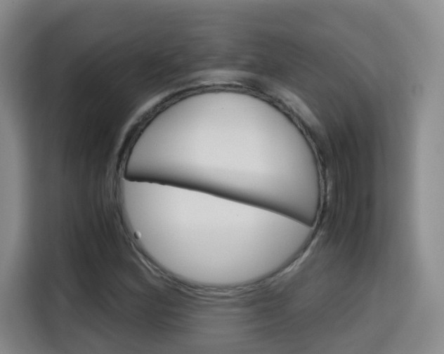 X0000115701164200911191223