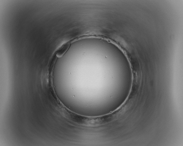 X0000115701165200911191223