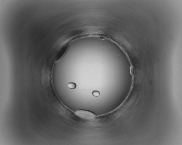 X0000115701169200911191223