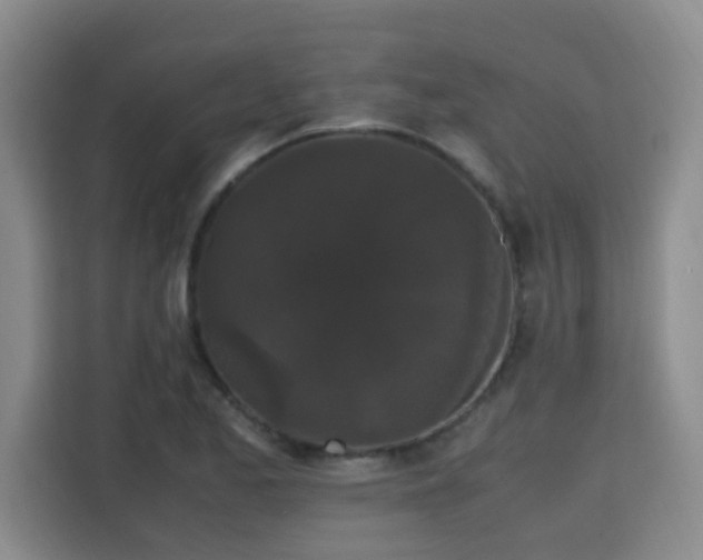 X0000115701173200911191223