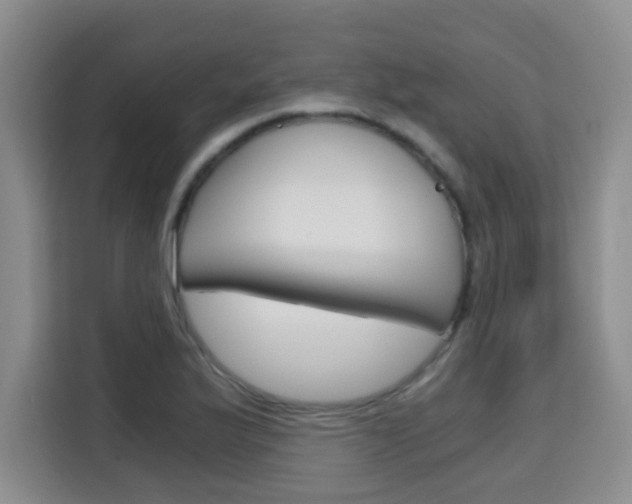 X0000115701175200911191223