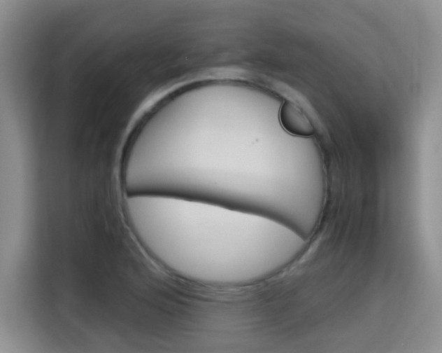 X0000115701176200911191223