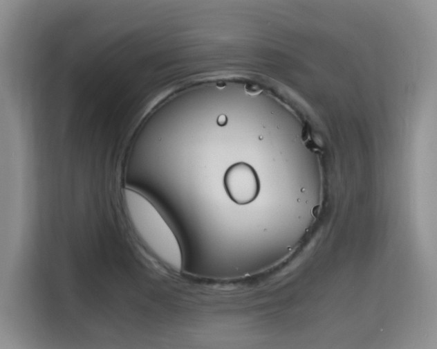 X0000115701177200911191223