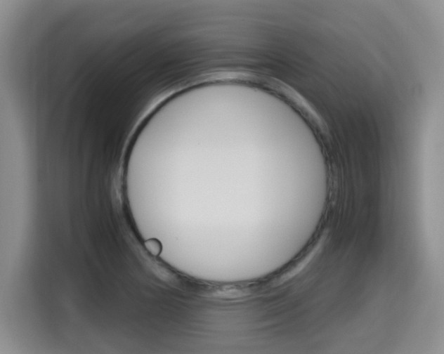 X0000115701178200911191223