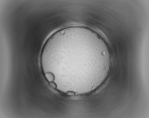 X0000115701182200911191223