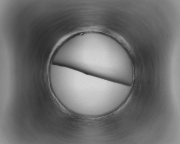 X0000115701184200911191223