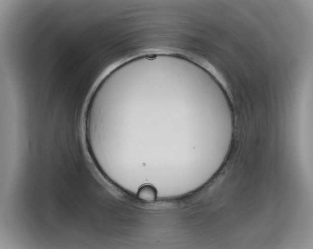 X0000115701187200911191223