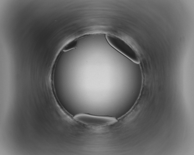 X0000115701189200911191223