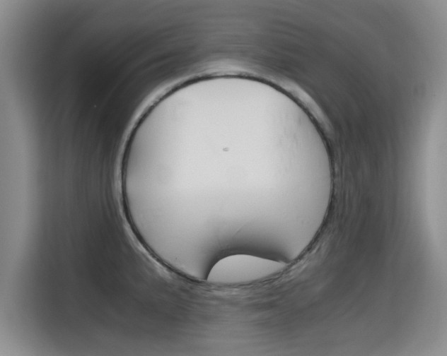 X0000115701191200911191223