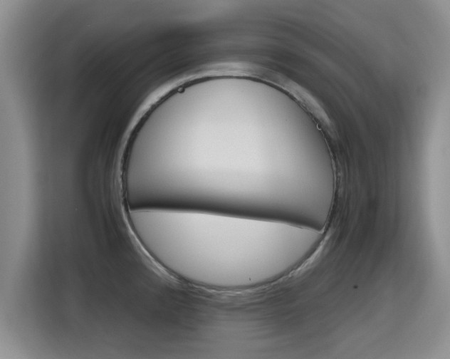 X0000115701192200911191223