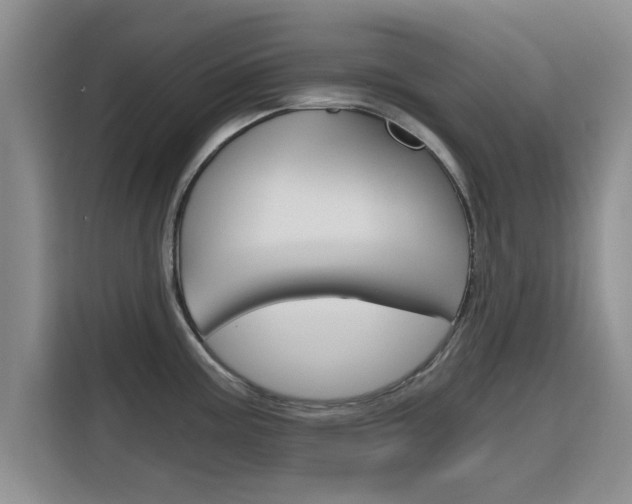 X0000115701195200911191223