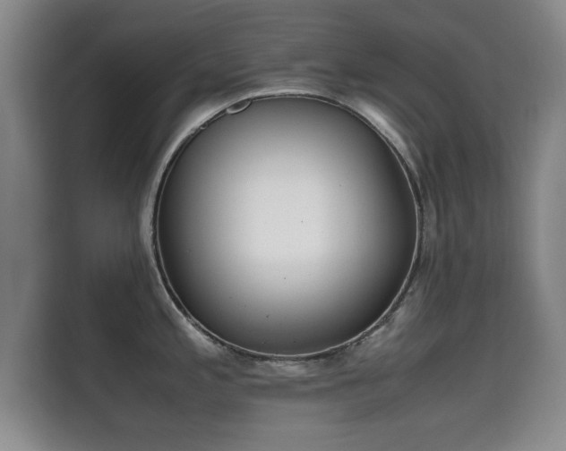 X0000115701197200911191223