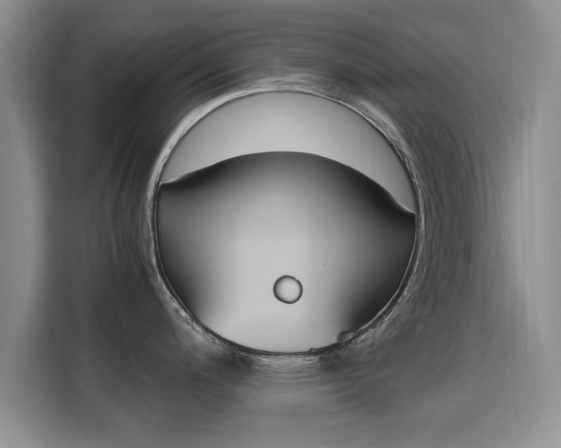 X0000115701200200911191223