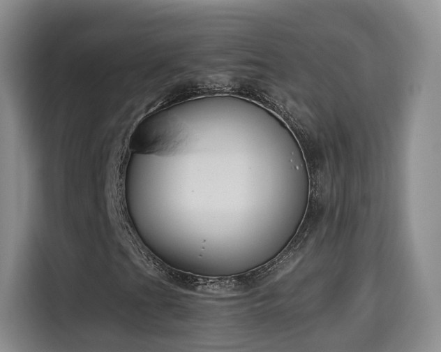 X0000115701201200911191222