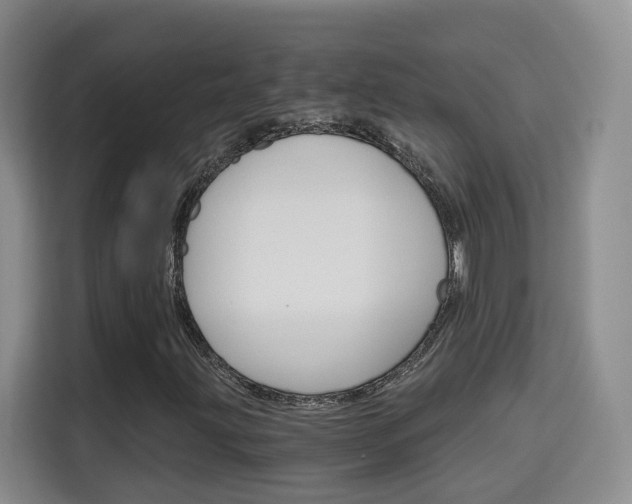 X0000115701203200911191222