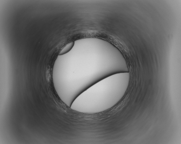 X0000115701204200911191222