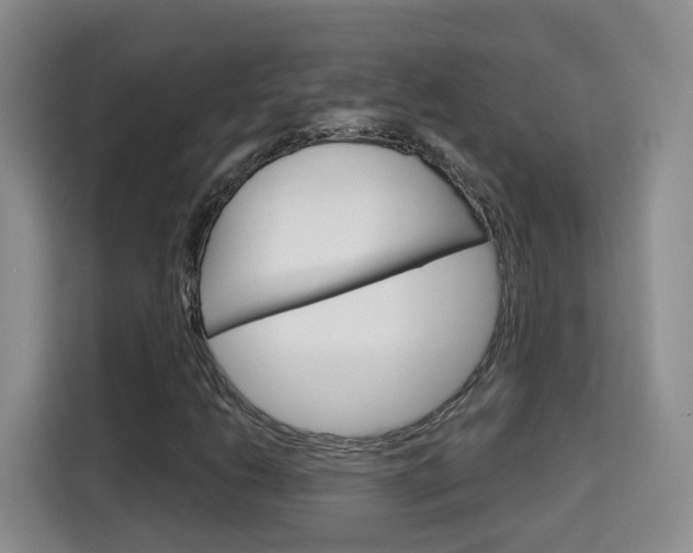 X0000115701206200911191222