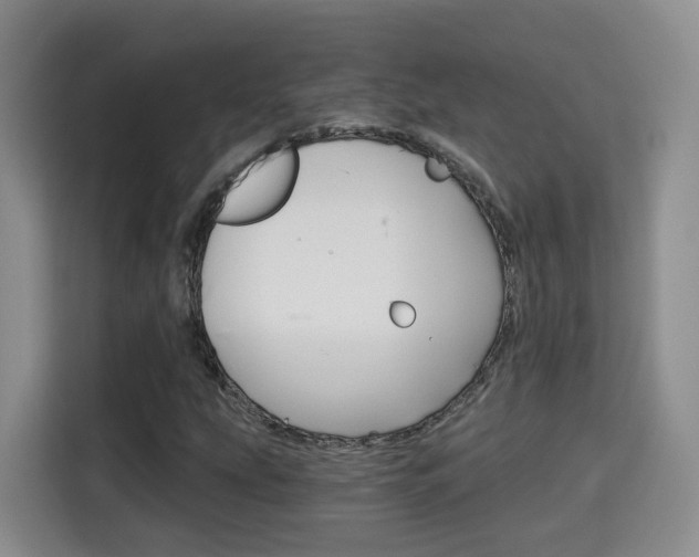 X0000115701207200911191222