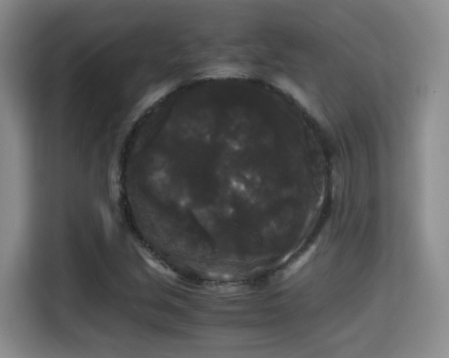 X0000115701213200911191223