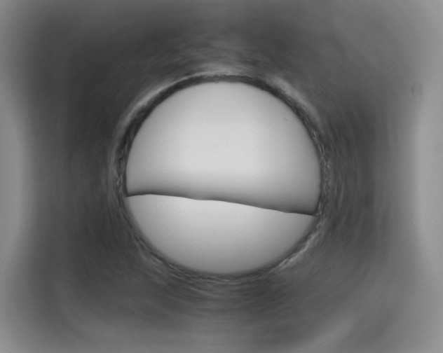 X0000115701215200911191223