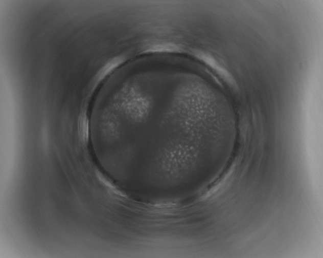 X0000115701221200911191223